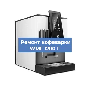 Декальцинация   кофемашины WMF 1200 F в Ижевске